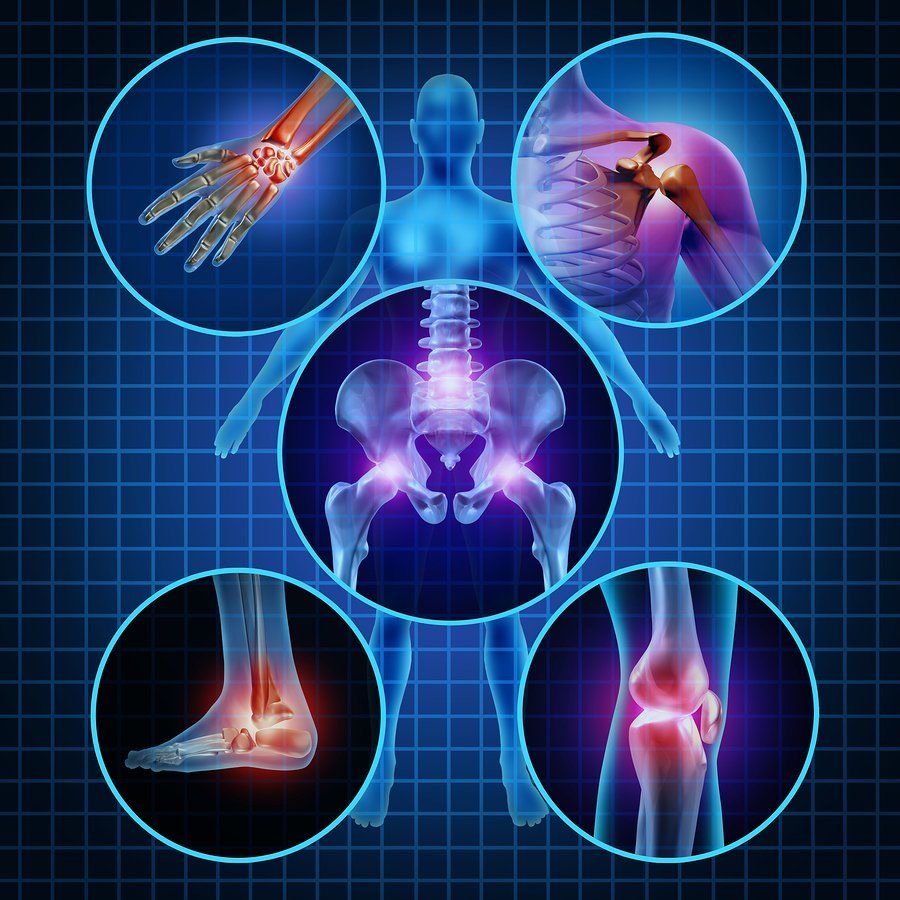 Home | Bayside Musculoskeletal Medicine